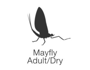 mayfly-dry-icon
