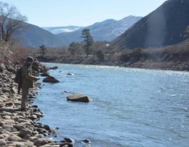 colorado river lower section