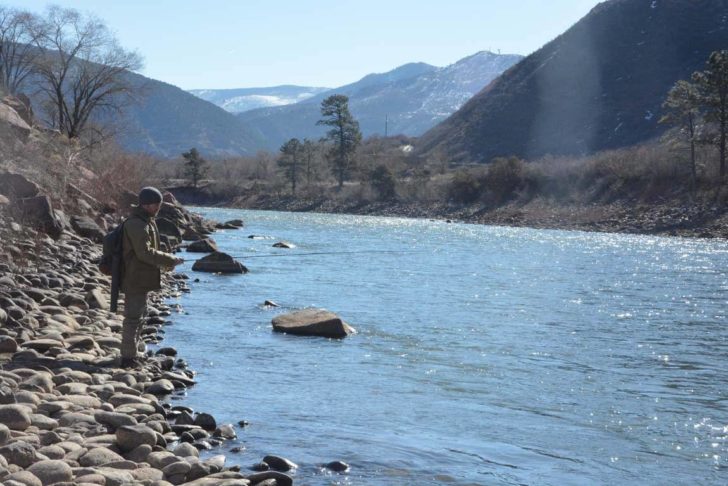 colorado river lower section