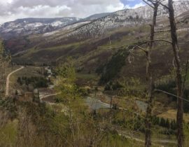 Crystal River Fly Fishing Colorado