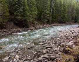 Crystal River Upper Section after Rain