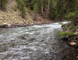 Crystal River