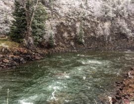 Crystal River