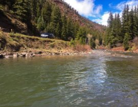 Dry Fly Fishing the Crystal River Colorado