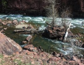 Pocket Water in the Crystal River Upper Section