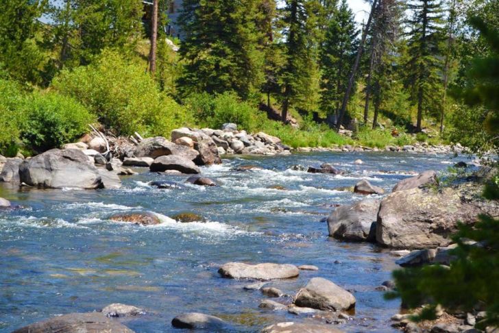 elk river lower section