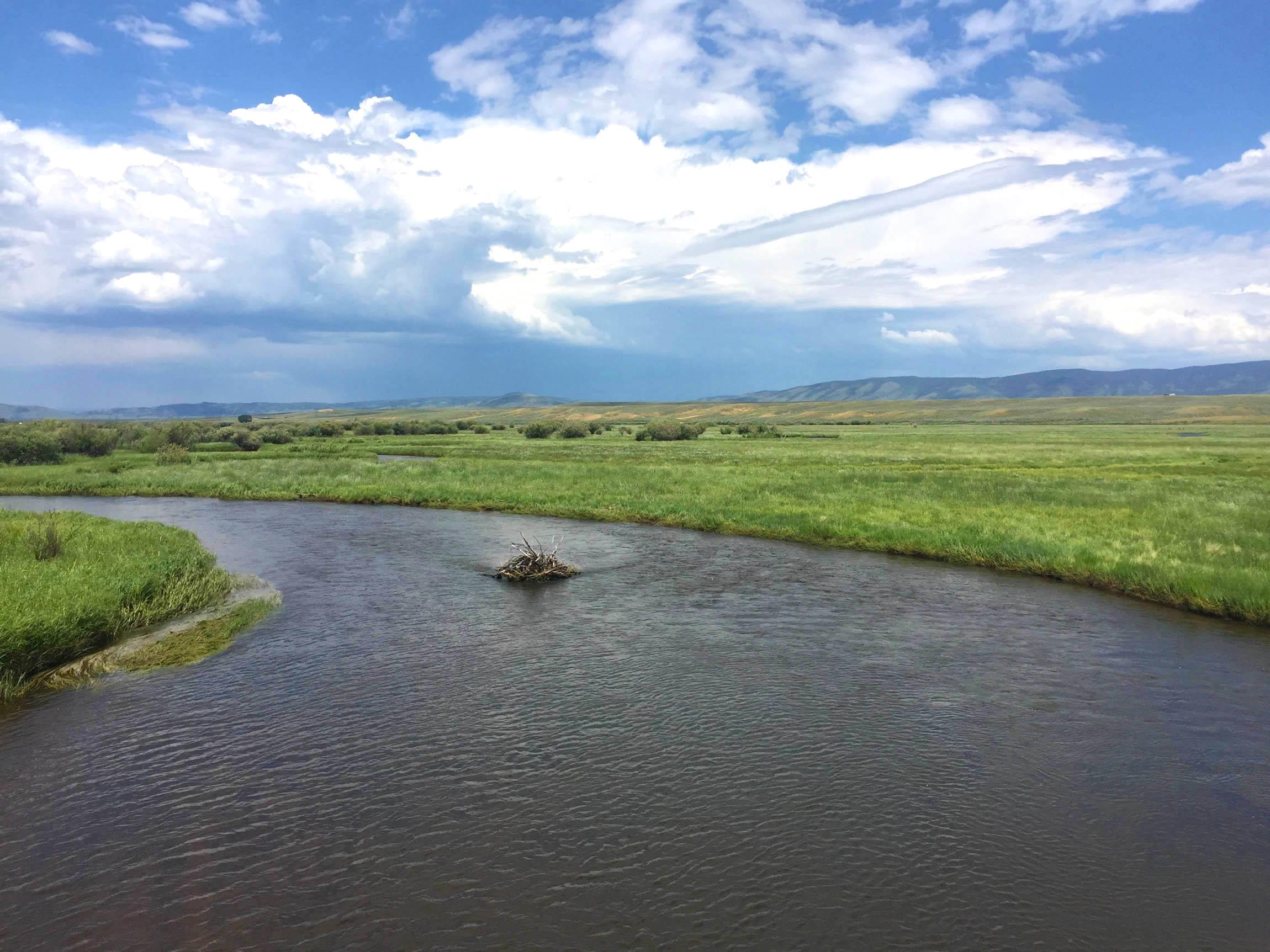 Michigan-River-Lower-Section-9