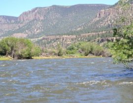 rio grande river middle section