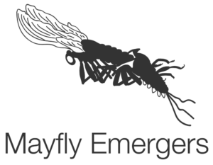 mayfly-emergers