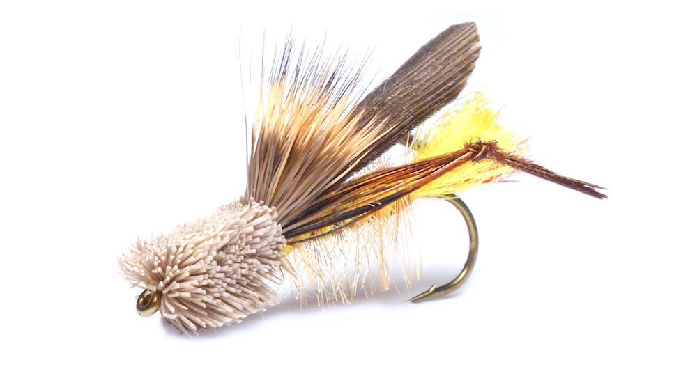 Hopper and Terrestrials 