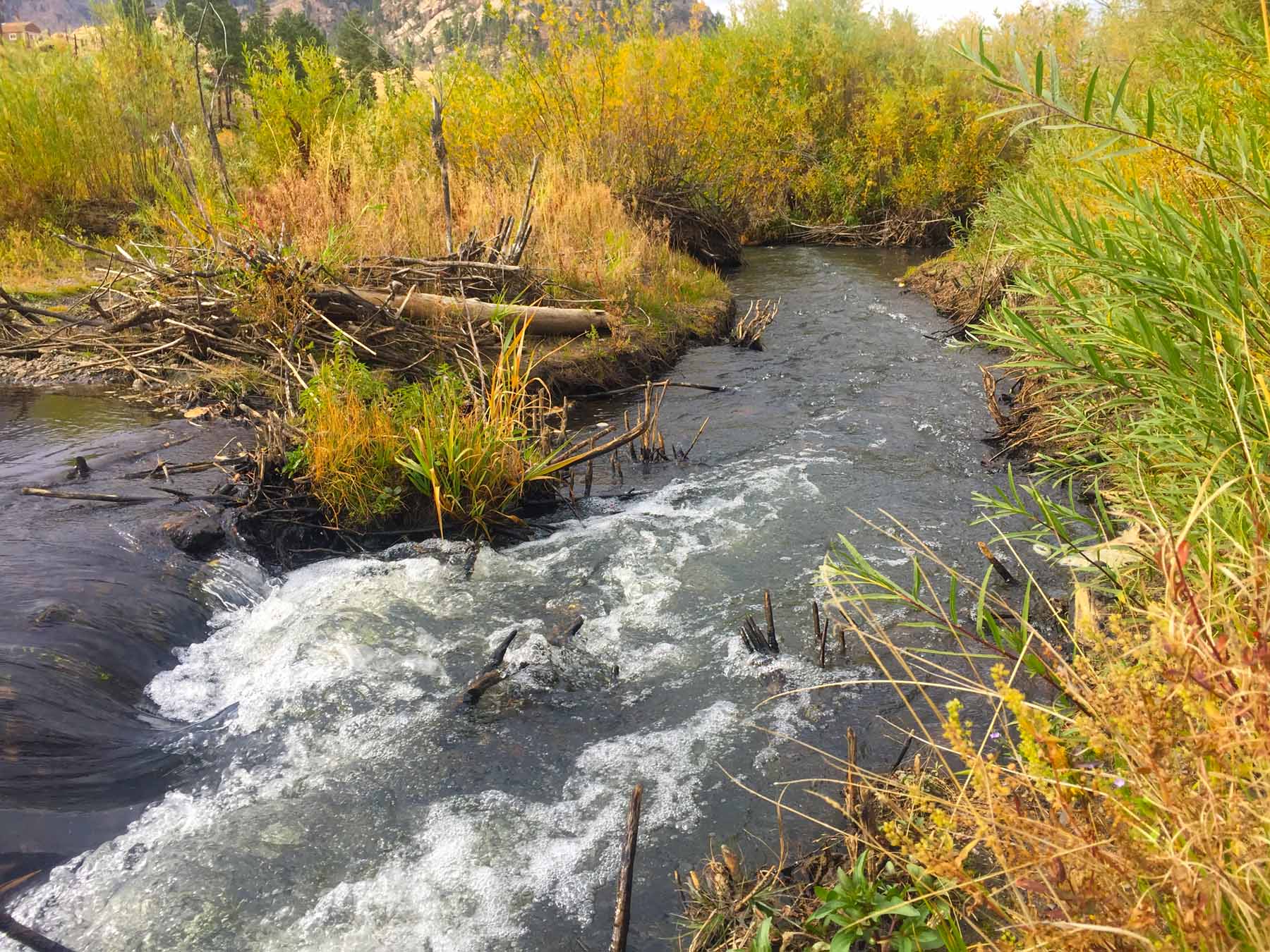 horse-creek-south-platte-3