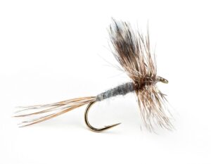 The Adams Dry, world's most popular dry fly for trout