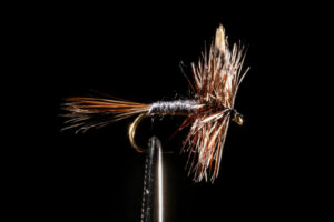 Adams-Dry-Fly