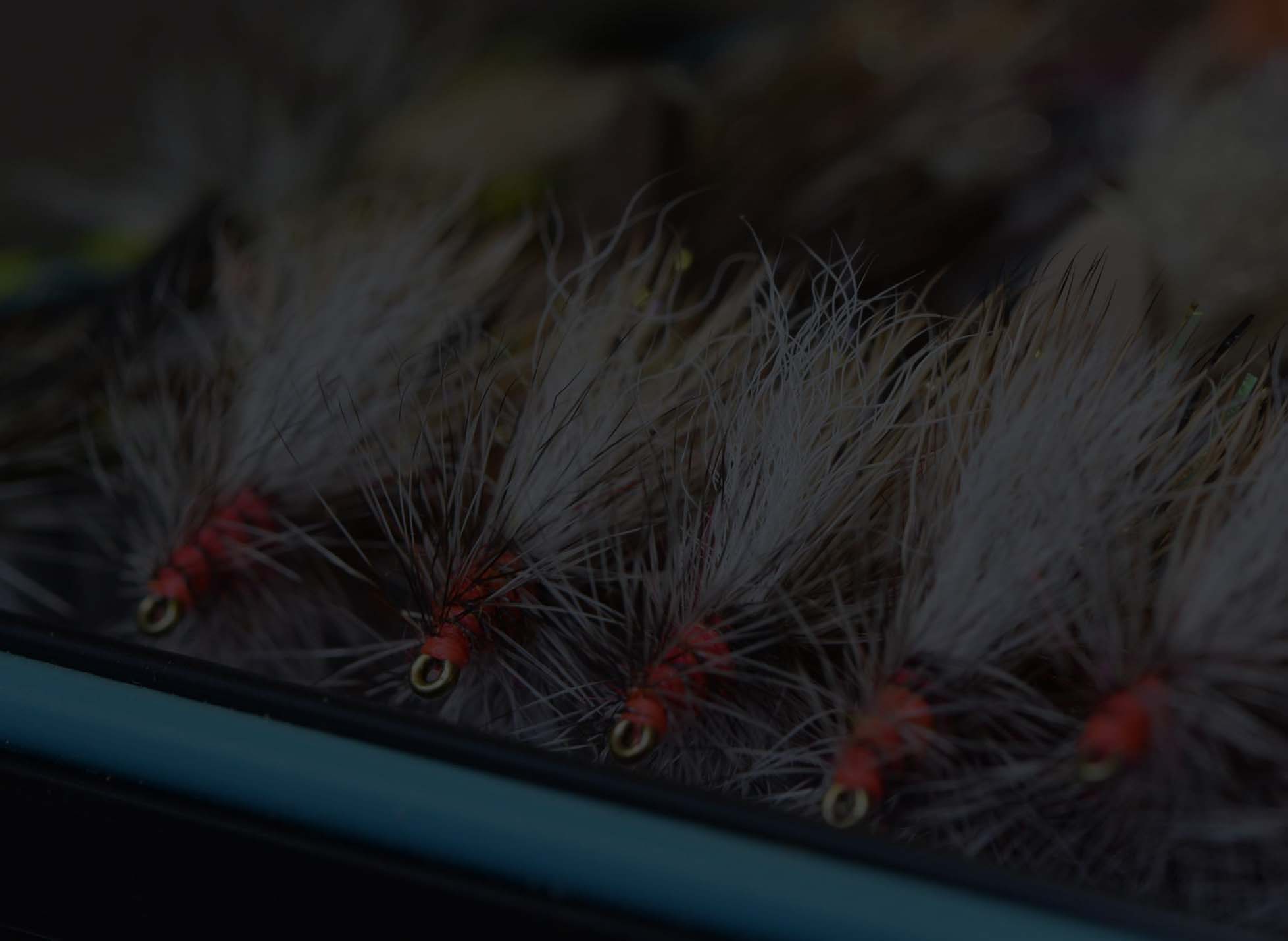Craft Your Fly Box<br /> Course Sale<br />Only $25
