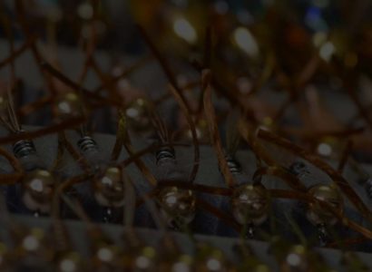 Fly Sale | $0.75/Fly