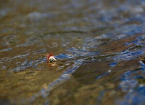 An example of a good drift. As you can see, the fly is sitting flat on the water, with no wake trailing behind it. This would be considered a drag-free drift
