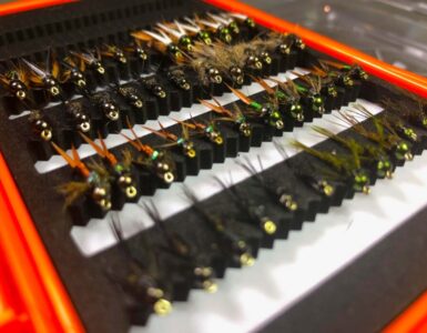 Assortment Sale<br /> 50% Off