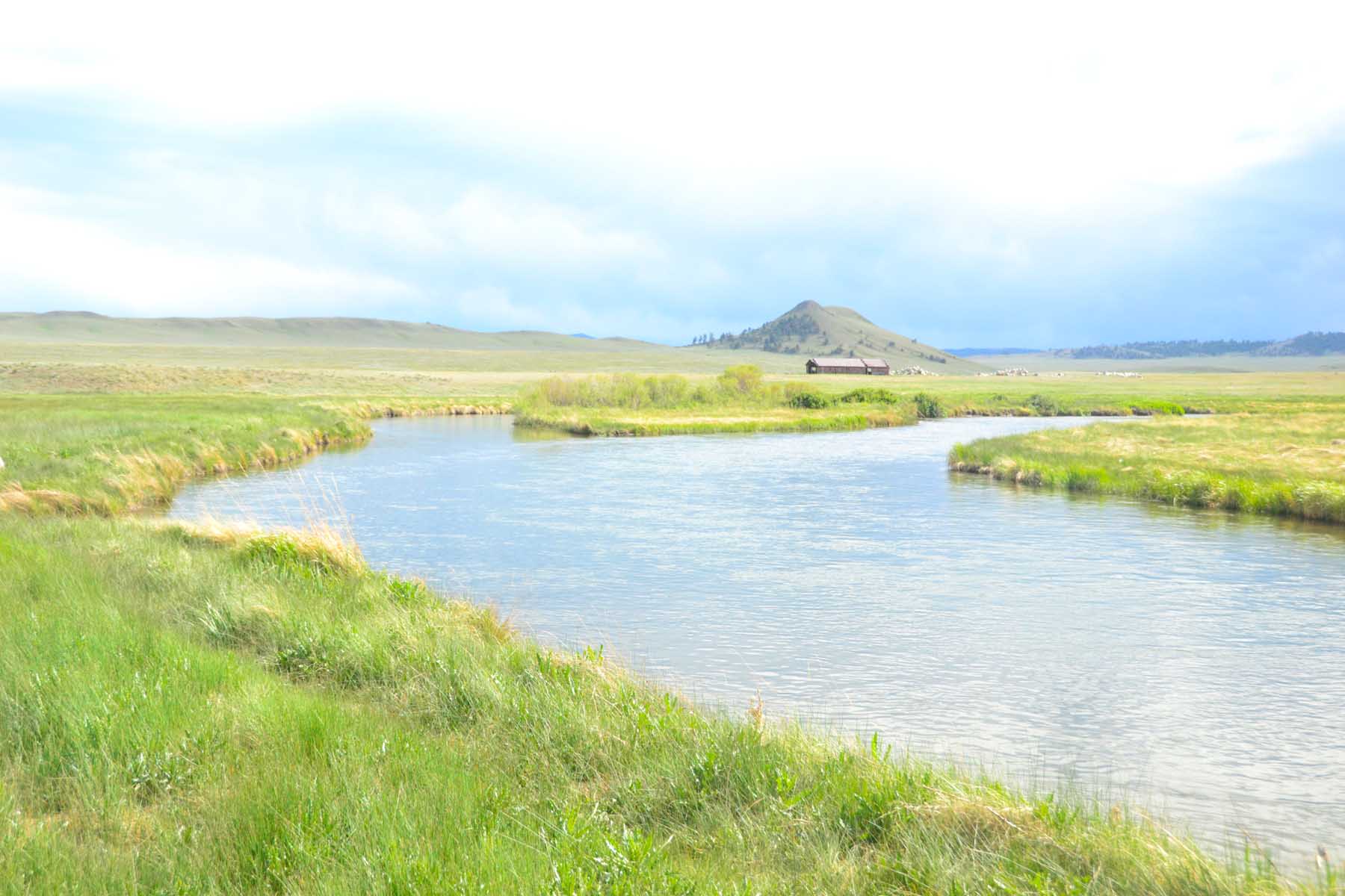 South-Platte-River-Dream-Stream