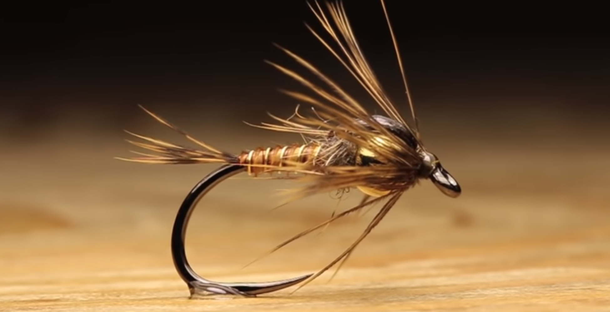 A biot body fly 