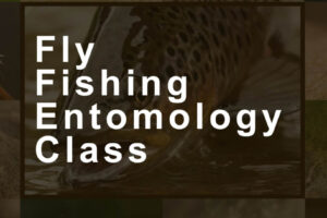 Fly-Fishing-Entomology-Class-Cover