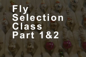 Fly-Selection-Class-Cover