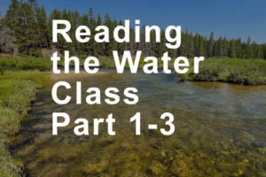 Reading-the-Water-Class-Cover