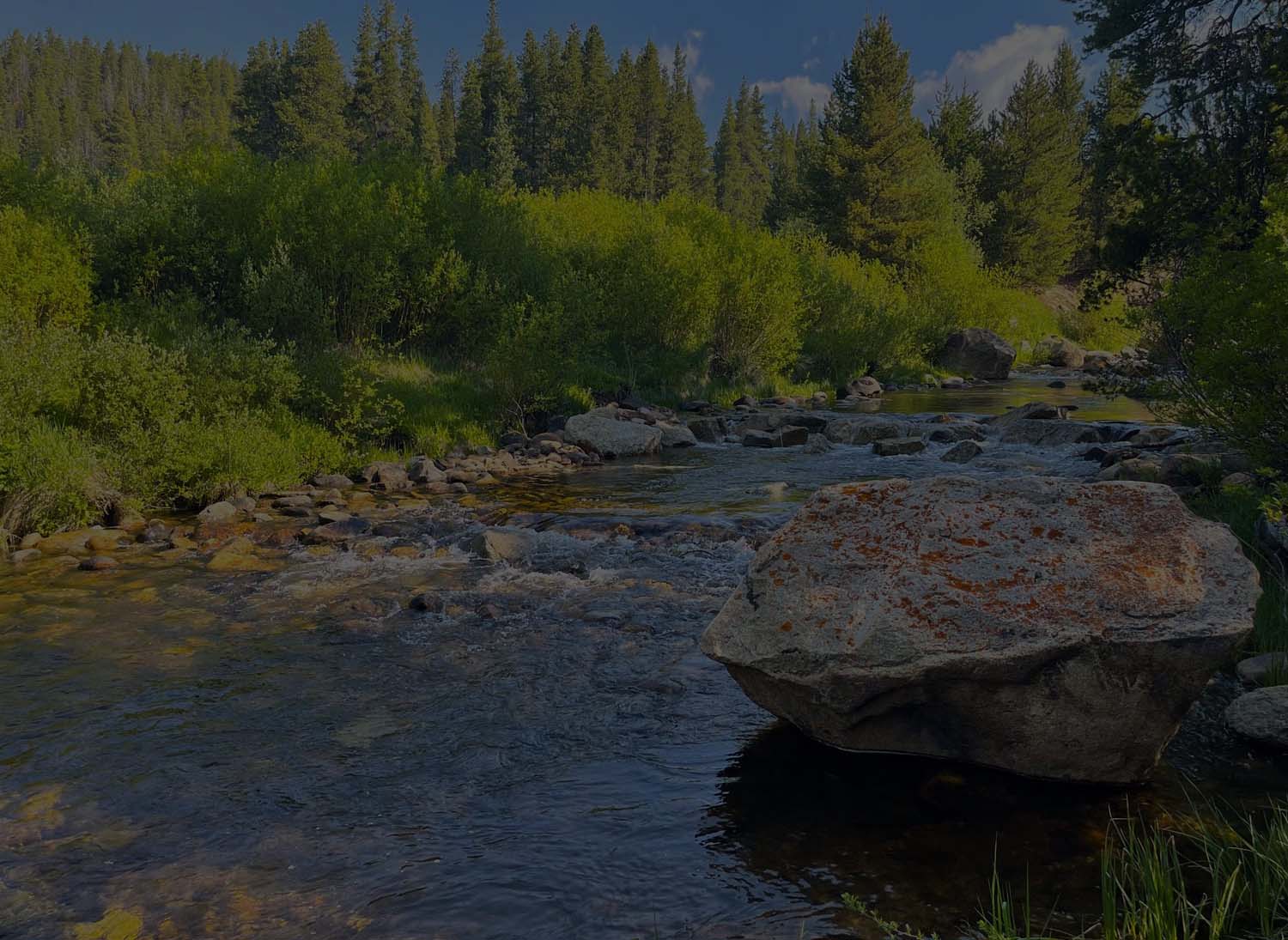 Fly Fishing University