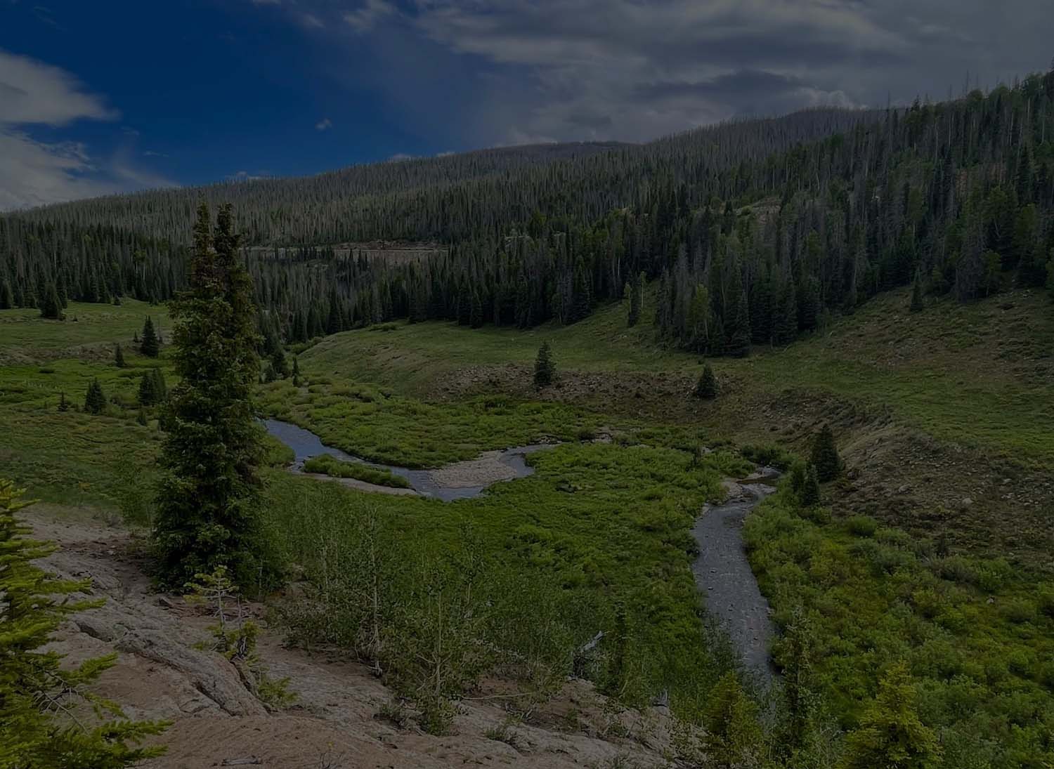 Streamside Course<br />75% Off