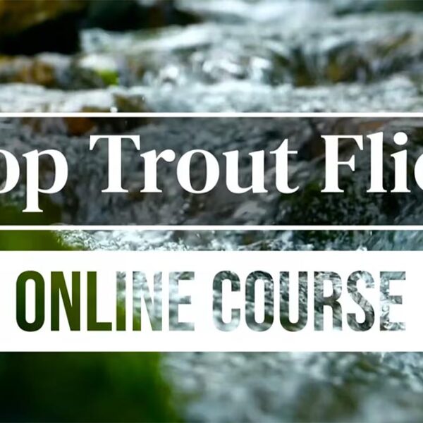 Top Trout Flies Course
