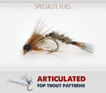 Articulated Hare and Adams