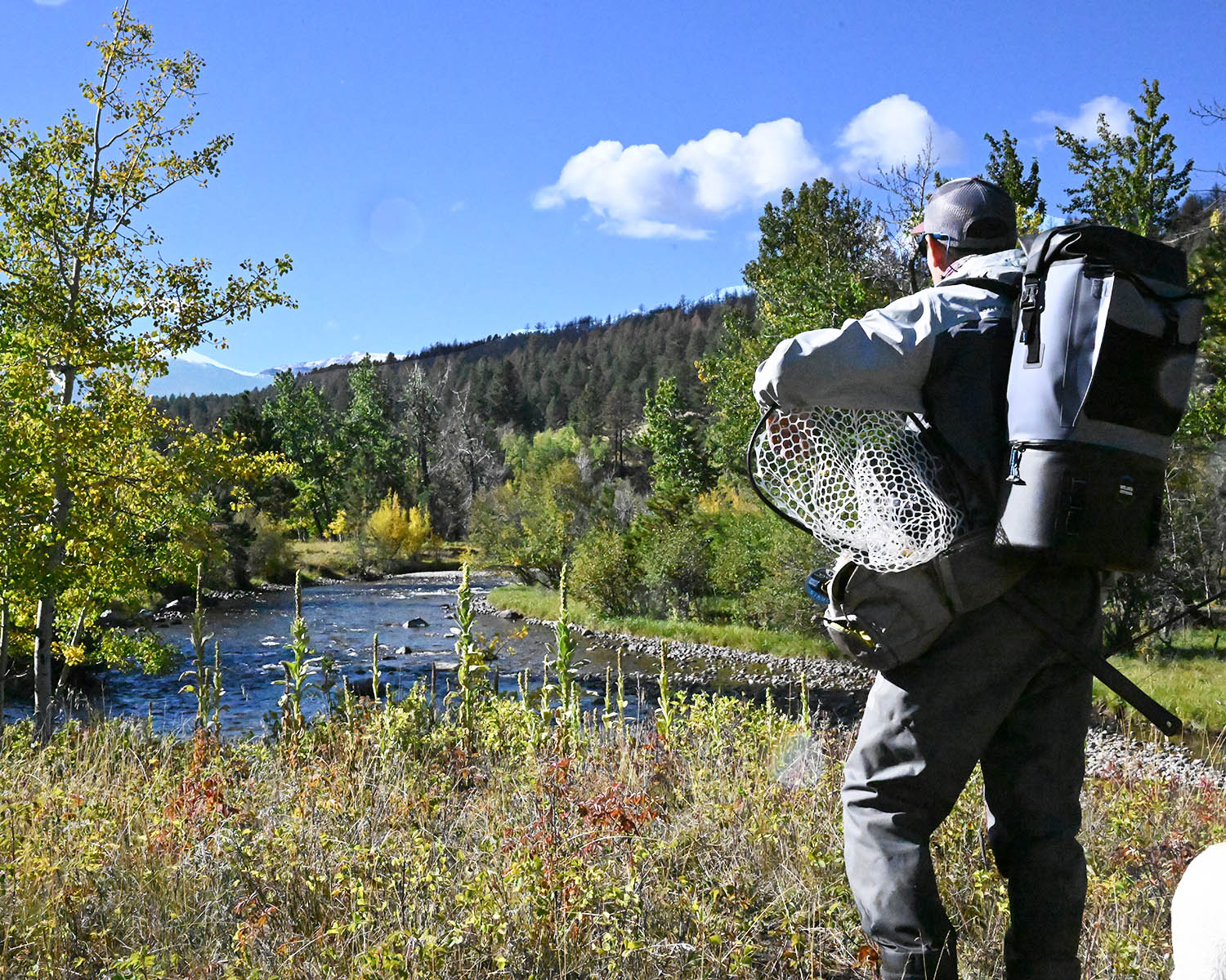 dry-fly-fishing-course-introduction-behind-an-angler-stalking-a-trout