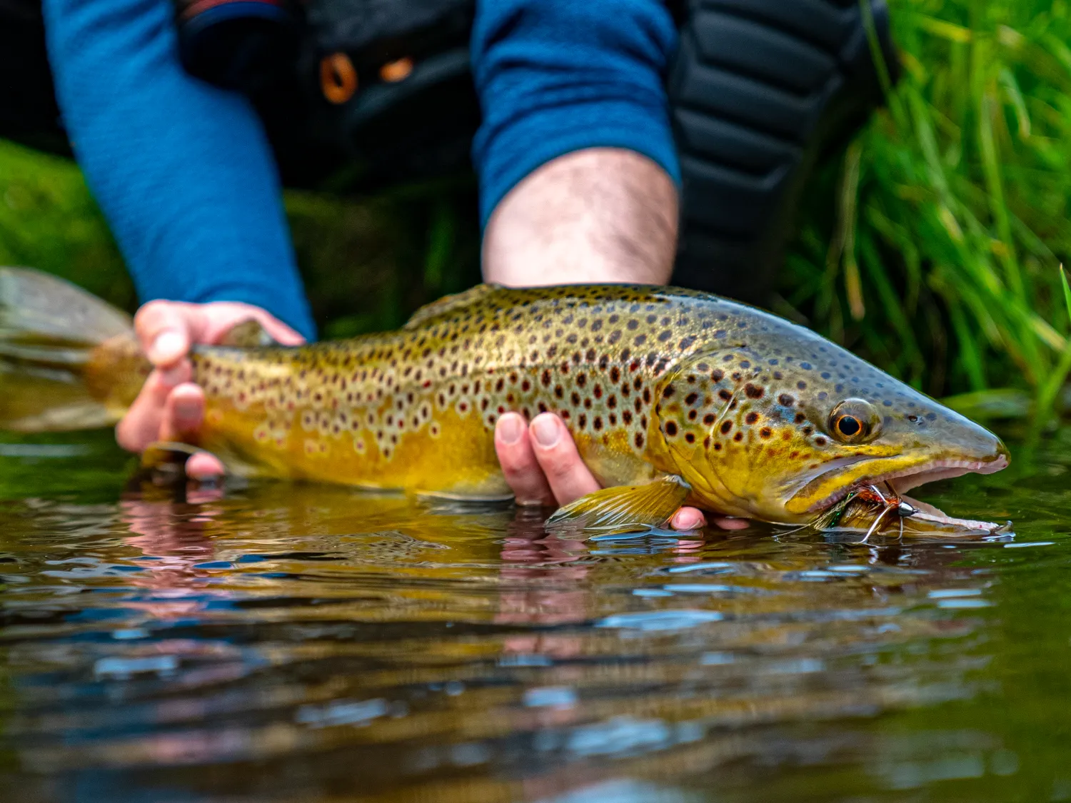 Streamer Fishing Course