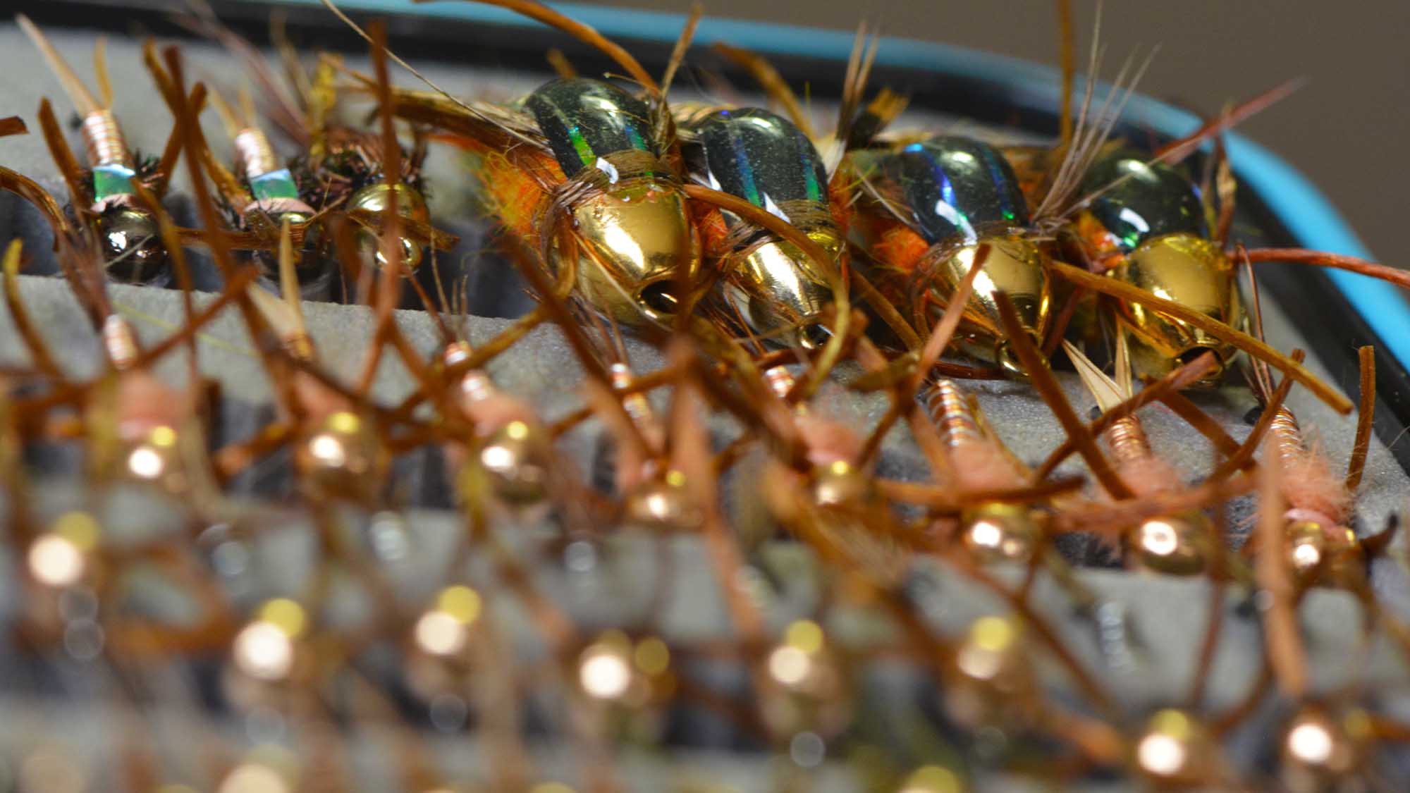 Build Your Fly Box Around Insect Stages river view