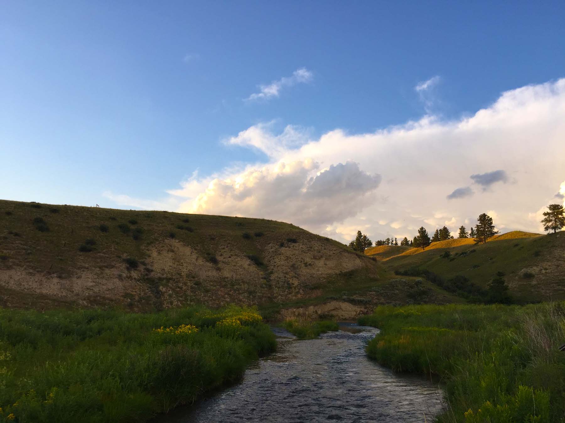 What Does That Streamflow Number Actually Mean? river view