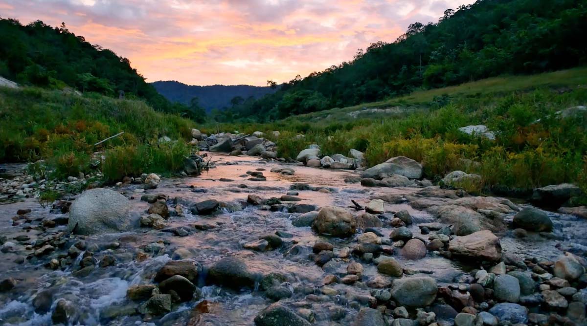 How to Read Water on a Small Stream Before You Make Your First Cast river view