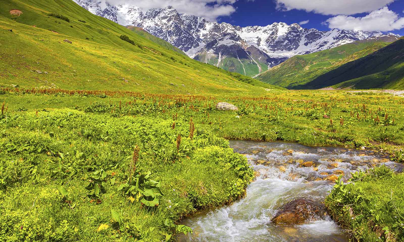 The 8 Best Trout Flies for Summer river view