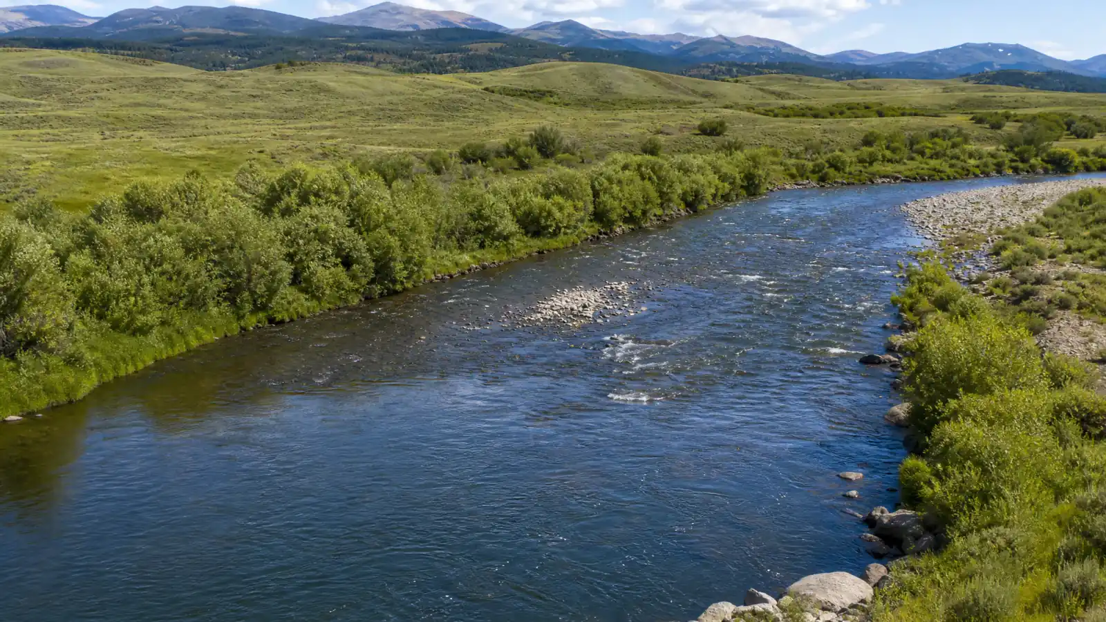 Complete Guide to Fly Fishing the Arkansas River in Colorado river view