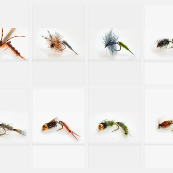 Articulated Top Trout Assortment