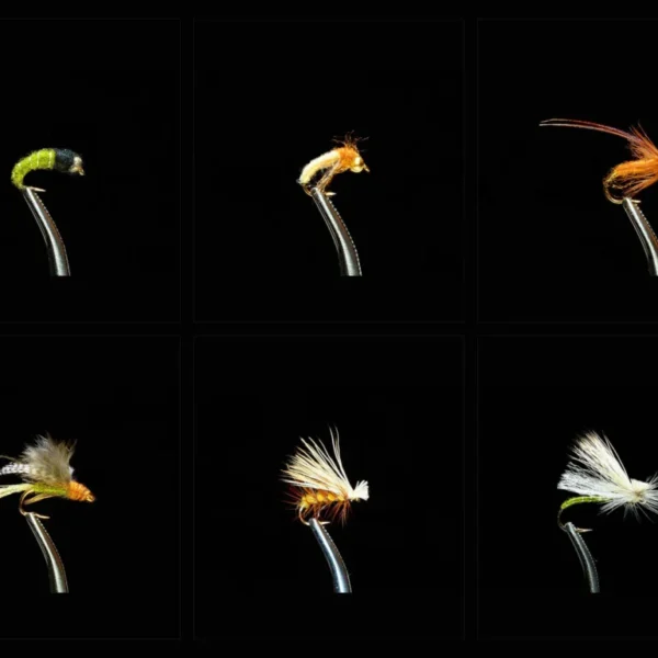 Caddis Fly Fishing Assortment