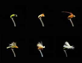 Fishing flies included in the Caddis Fly Fishing Assortment