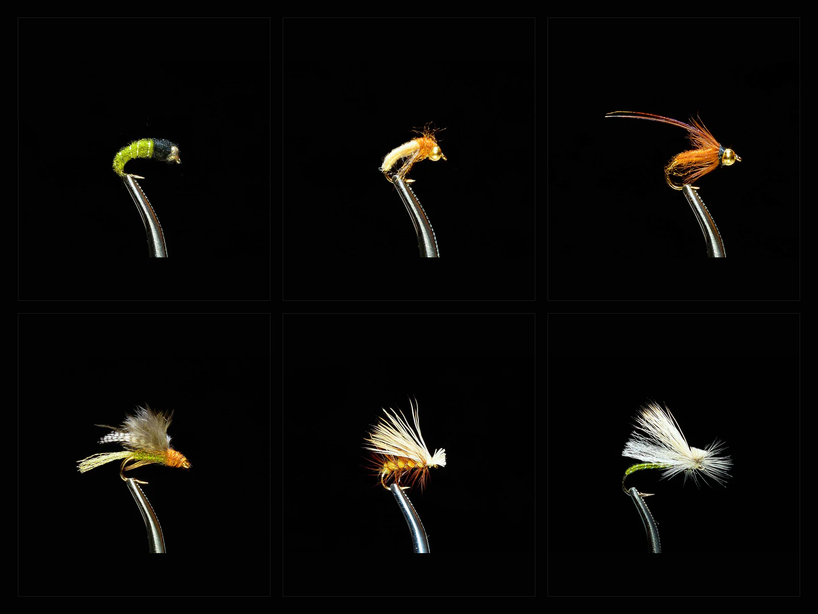 Caddis Fly Fishing Assortment