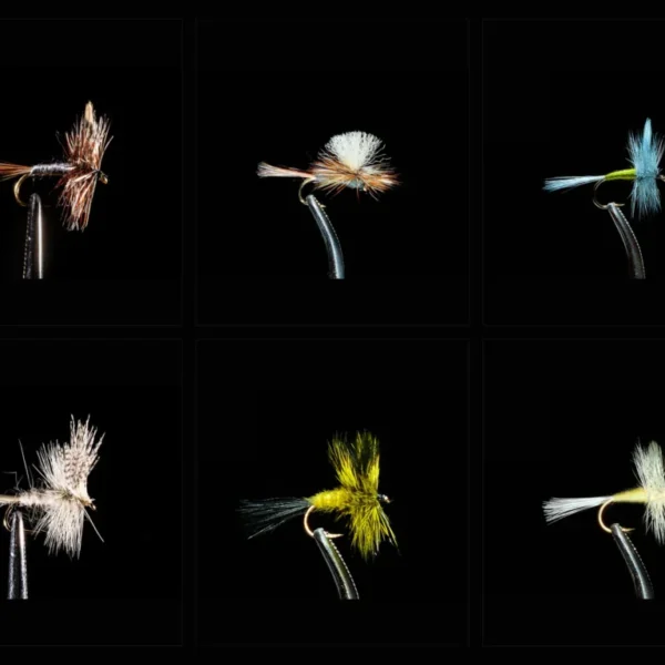 Dry Fly Assortment