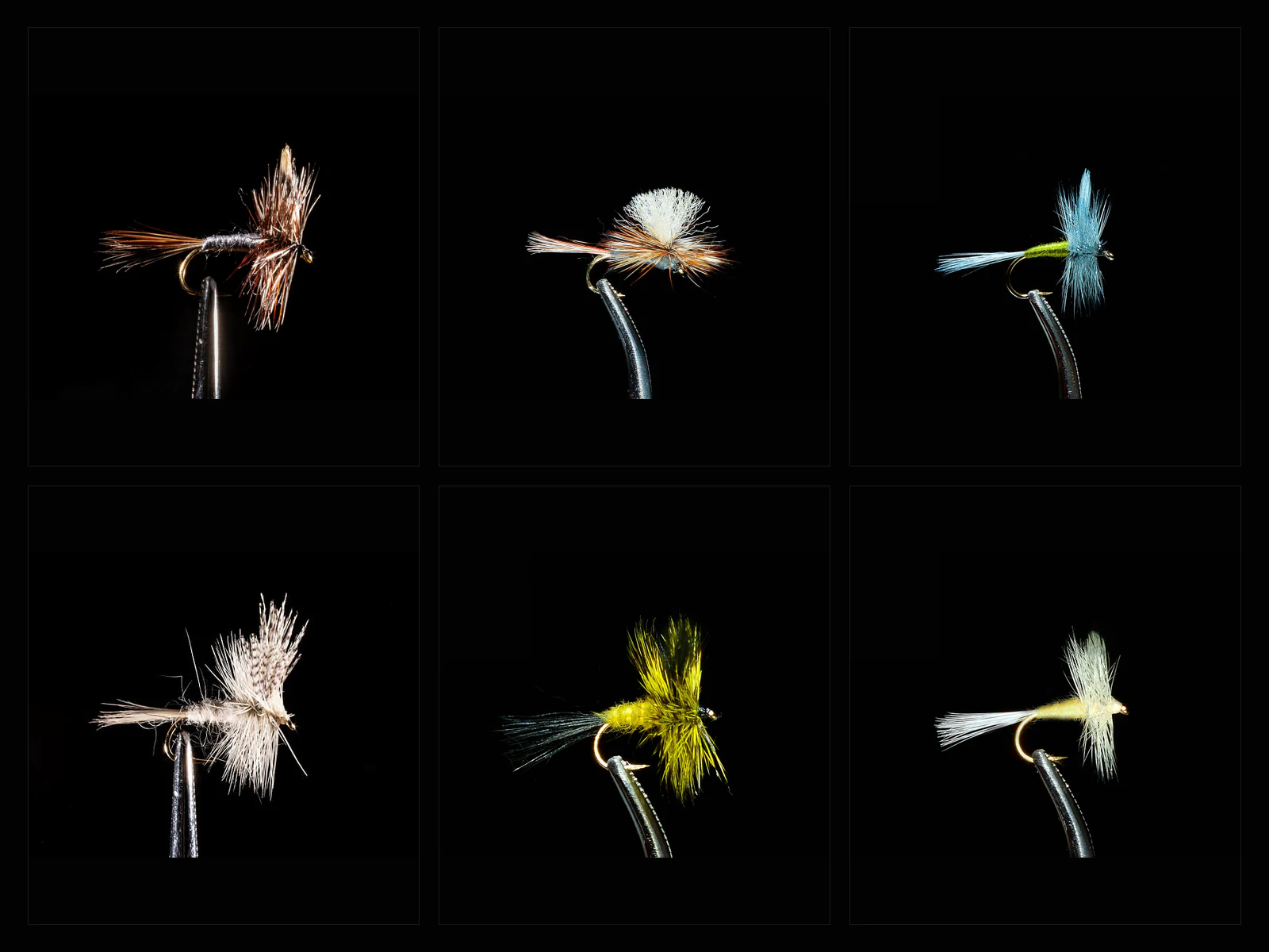 Dry Fly Assortment