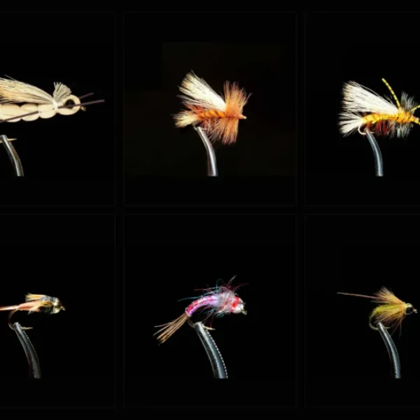Dry - Dropper Fly Assortment
