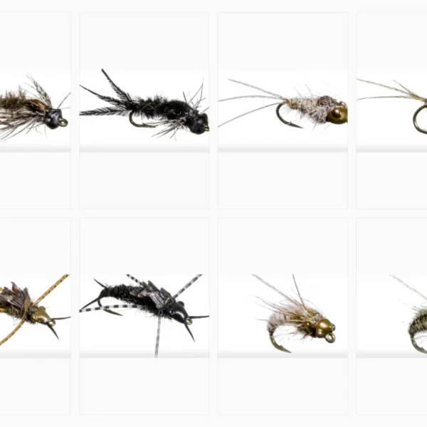 Nymph Head Evolution Assortment