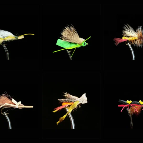 Hopper Assortment