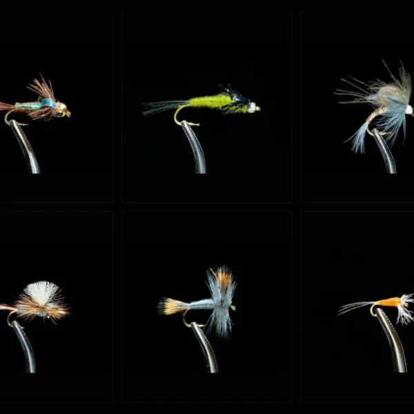 Mayfly Assortment