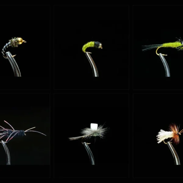 Spring Fly Fishing Assortment