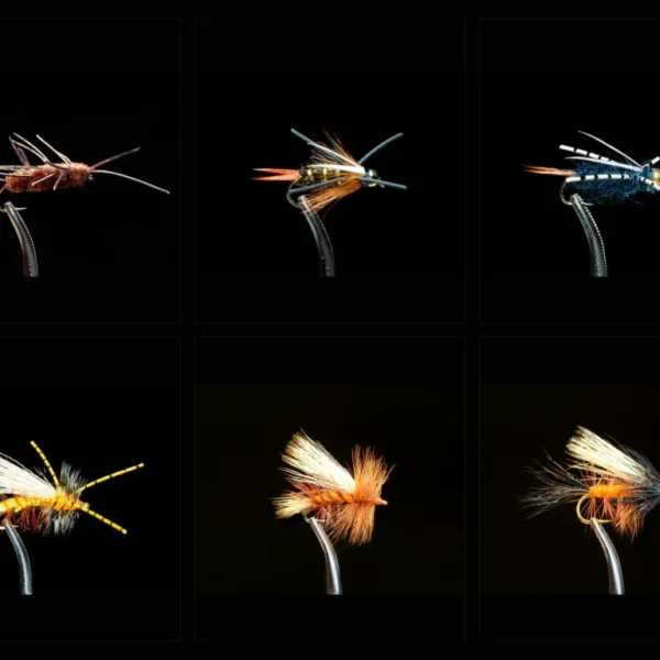 Stonefly Assortment