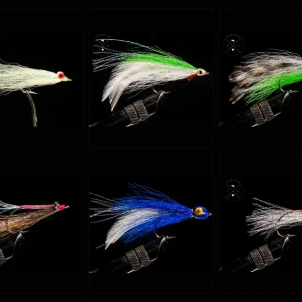 Saltwater Assortment